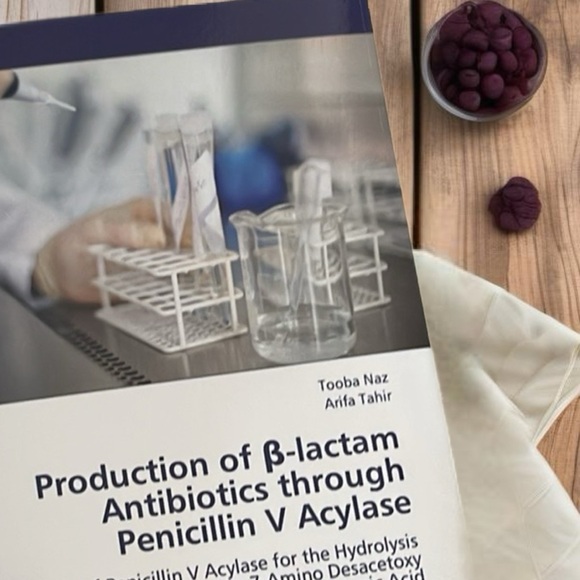 Production of b-lactam Antibiotics through Penicillin V Acylase - Picture 1 of 4